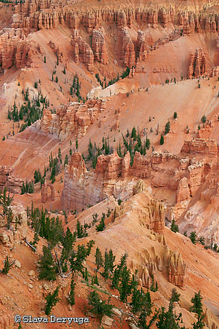 Jericho Ridge (Cedar Breaks, USA) von Jericho Ridge (Cedar Breaks, USA)