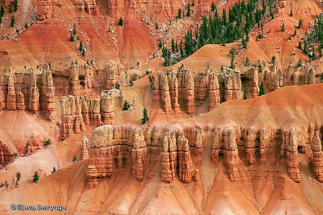 Hoodoos (Cedar Breaks, USA) von Hoodoos (Cedar Breaks, USA)