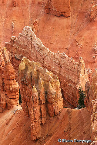 The Cathedral (Cedar Breaks, USA) von The Cathedral (Cedar Breaks, USA)