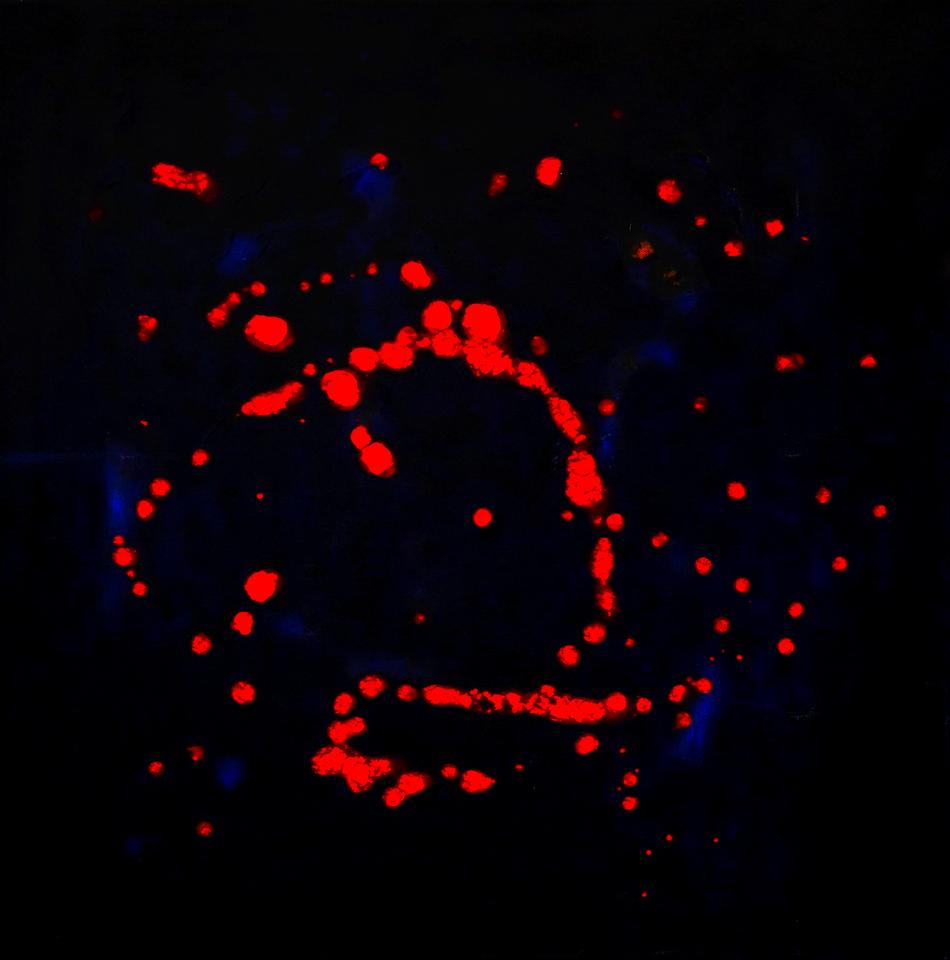 Dark Art Blue von Olivia Seger Dark Art Blue