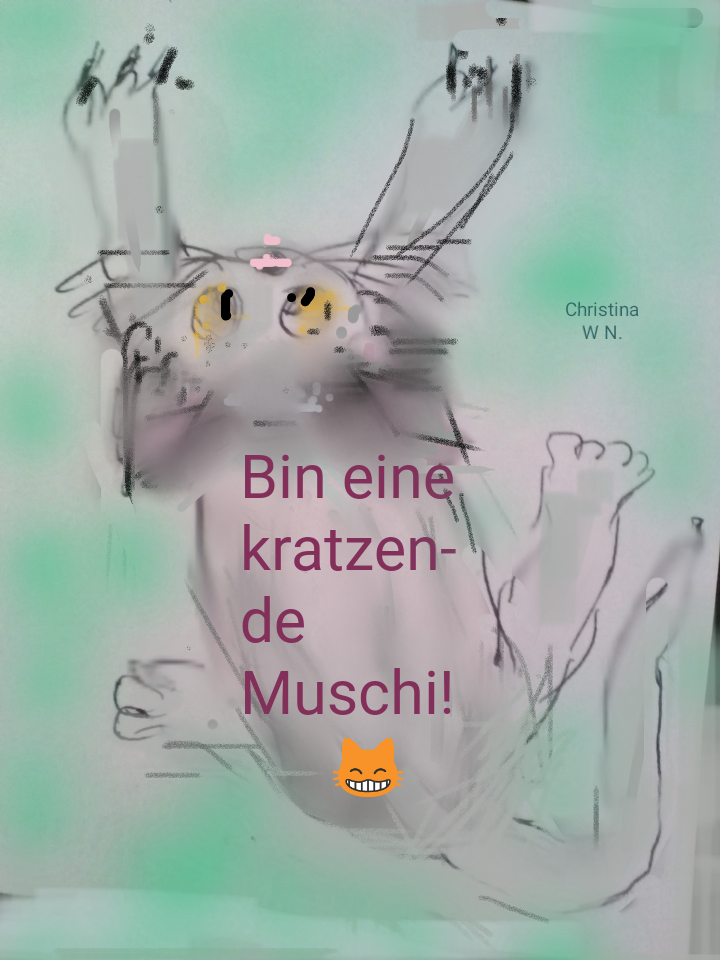 kratzende Katze von Christina W.-N / cwn kratzende Katze