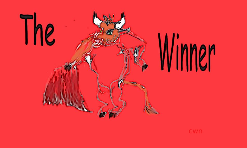 Stierkampf Winner von Christina W.-N / cwn Stierkampf Winner