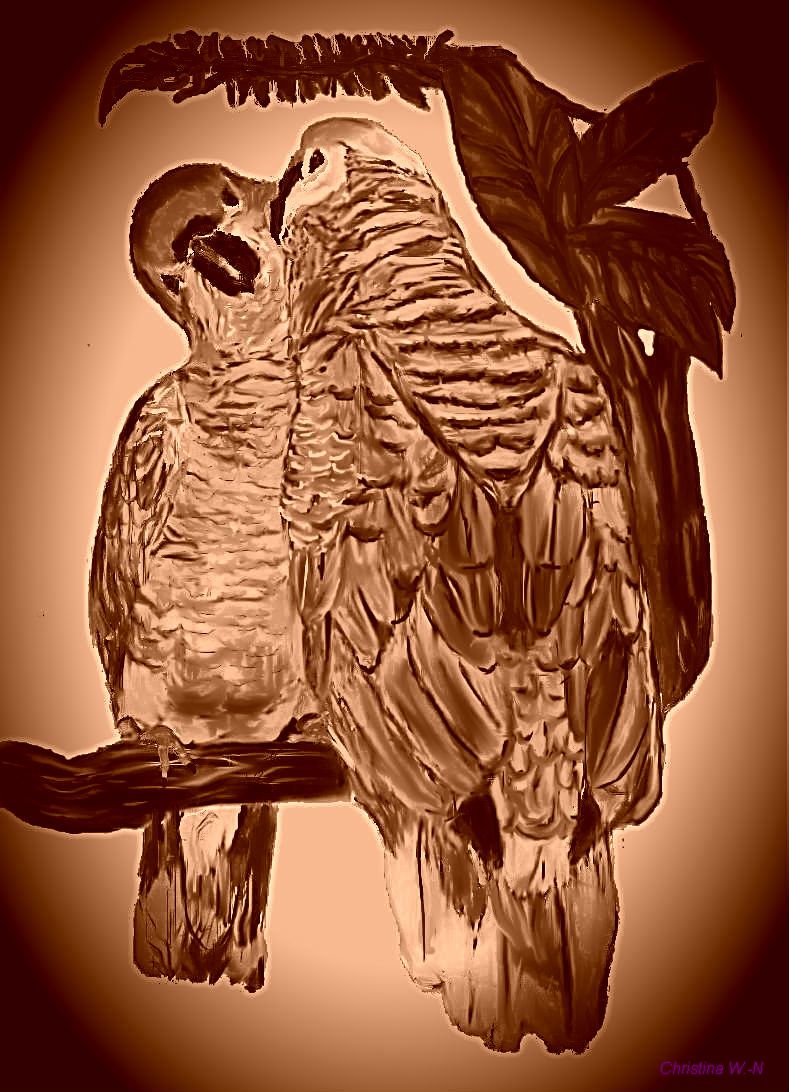 Papageienliebe Vignette 2 Sepia von Christina W.-N / cwn Papageienliebe Vignette 2 Sepia