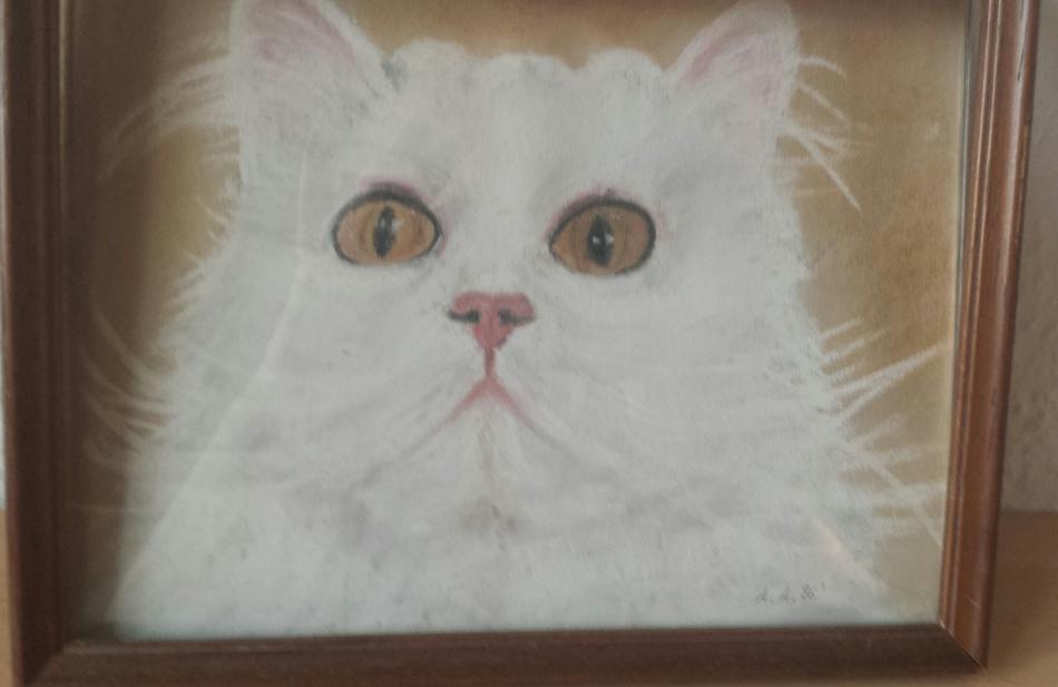Katze von alaja ashton Katze