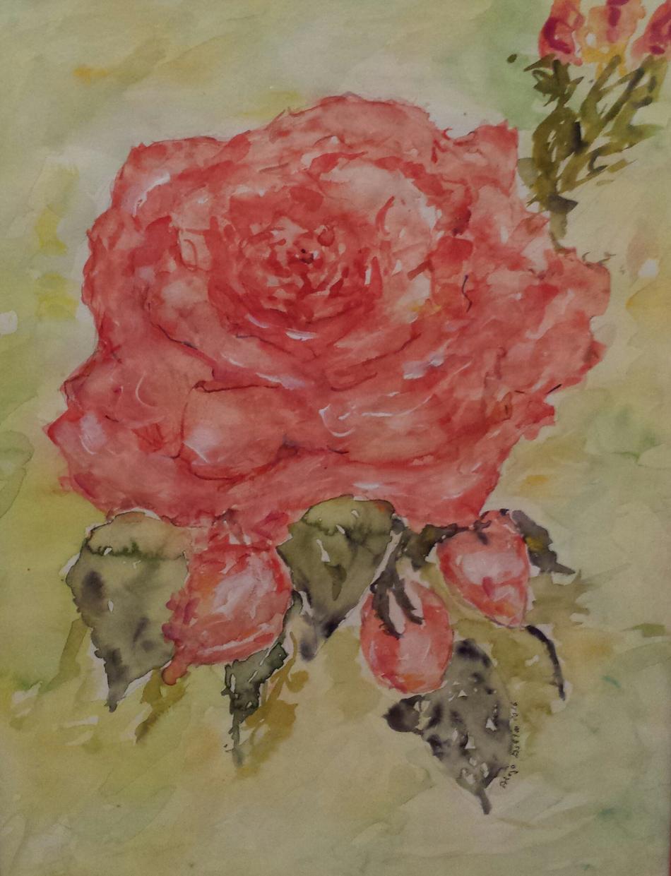 Orange Rose von alaja ashton Orange Rose
