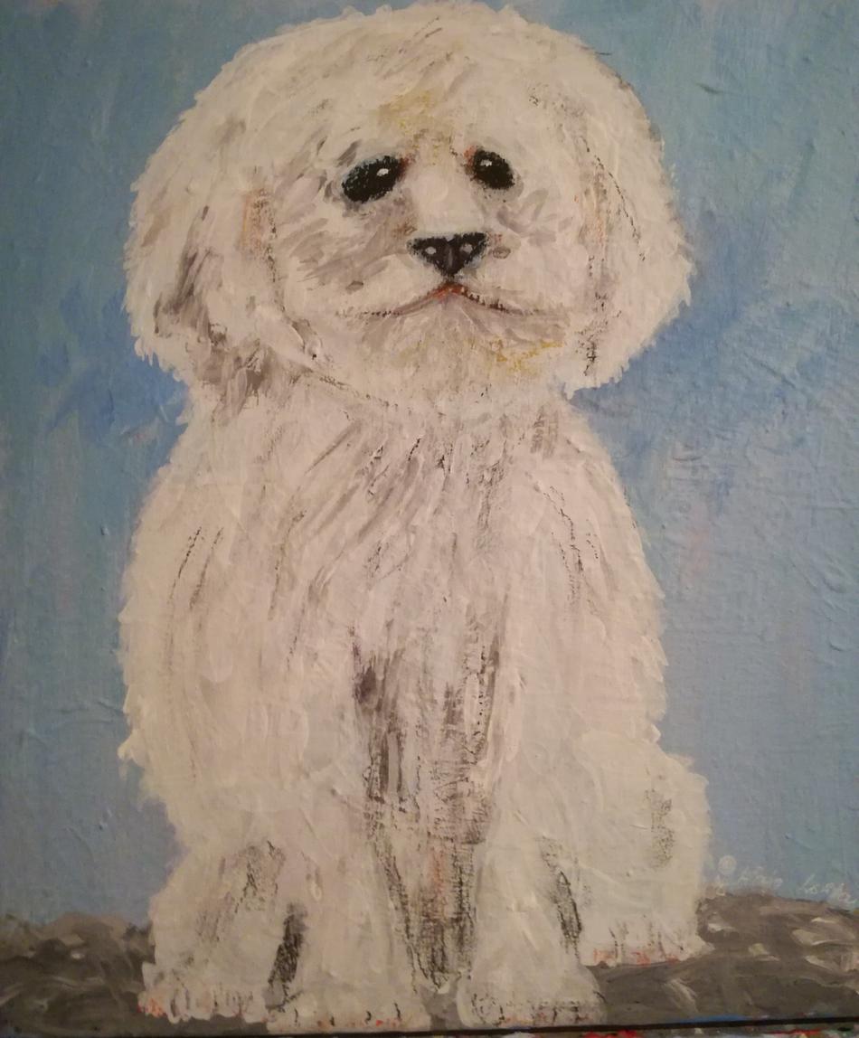 Einstein Hund von alaja ashton Einstein Hund