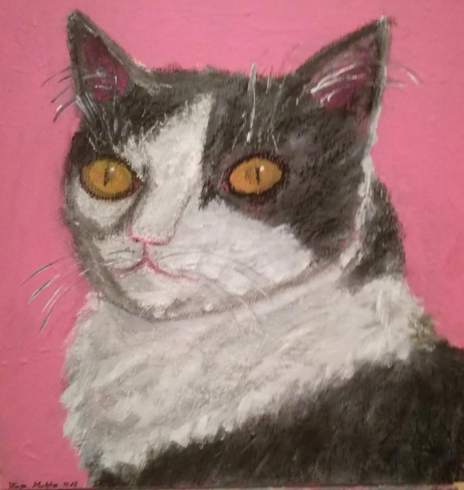 MEINE KATZE,PUSSY von alaja ashton MEINE KATZE,PUSSY