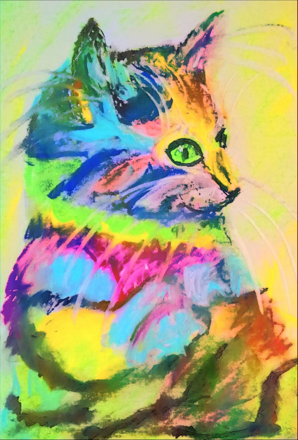 Color Cat von alaja ashton Color Cat