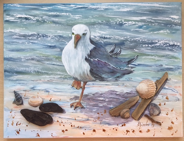 Möwe sucht Strandgut von Bärbel Schissler Möwe sucht Strandgut