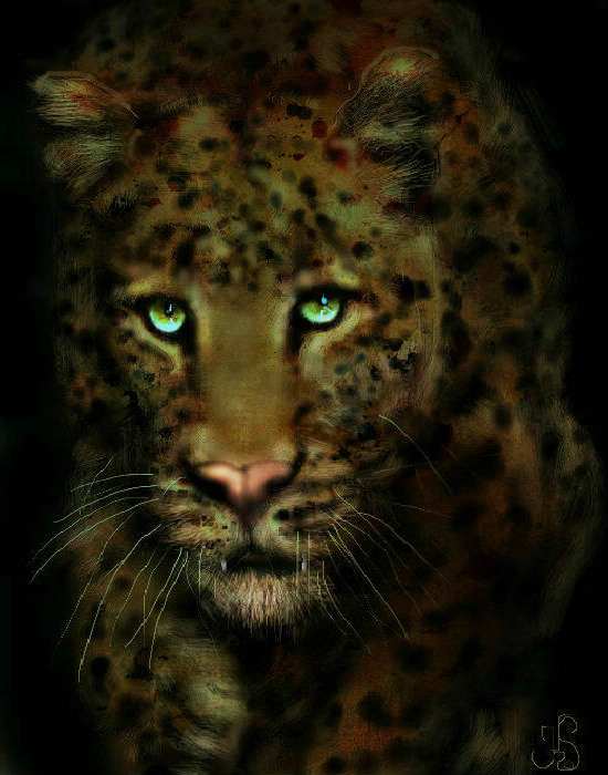 leopard von Carlo leopard