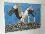 Storch von Sharky Storch