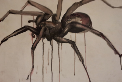 Spinne vergrößert von Valeska Spinne vergrößert