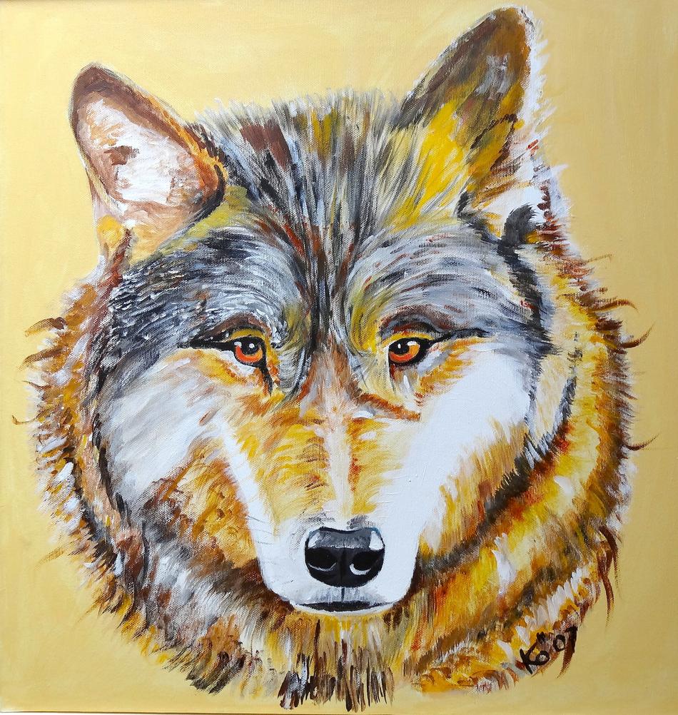 Wolfkopf von kö Wolfkopf
