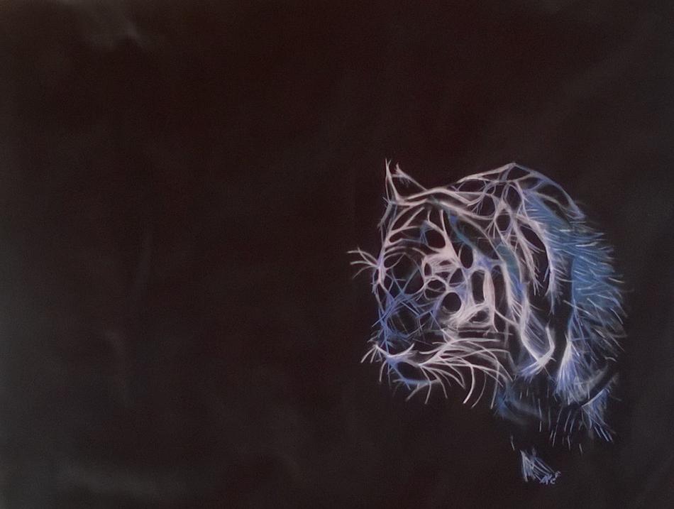tiger von the eyes tiger