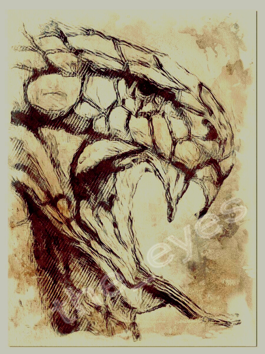 Snake von the eyes Snake