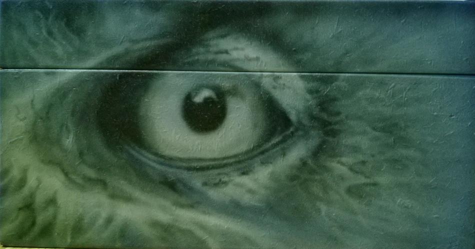 auge von the eyes auge