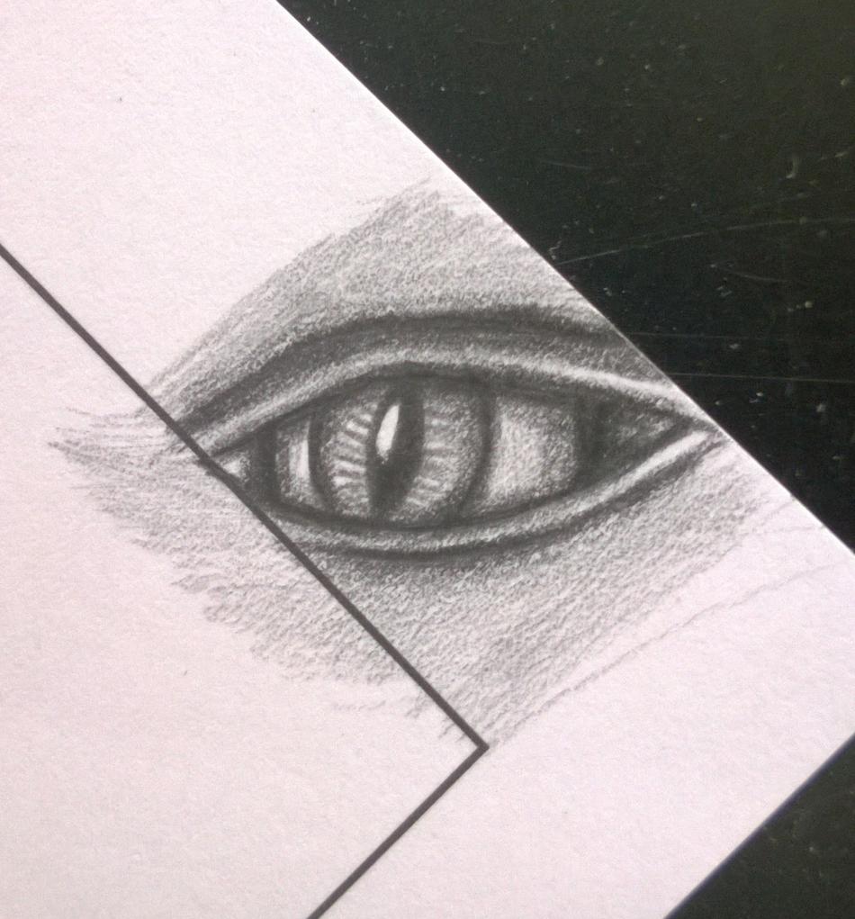 auge von the eyes auge