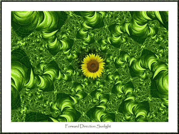Forward Direction Sunlight von Pixart Forward Direction Sunlight