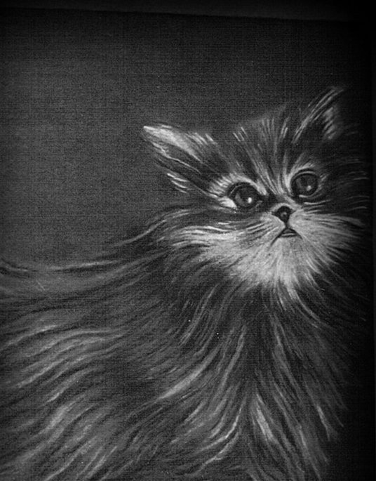 Katze von Jenny Katze