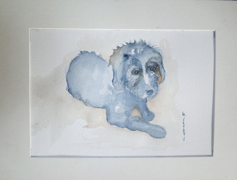 Cachou von Cachou
