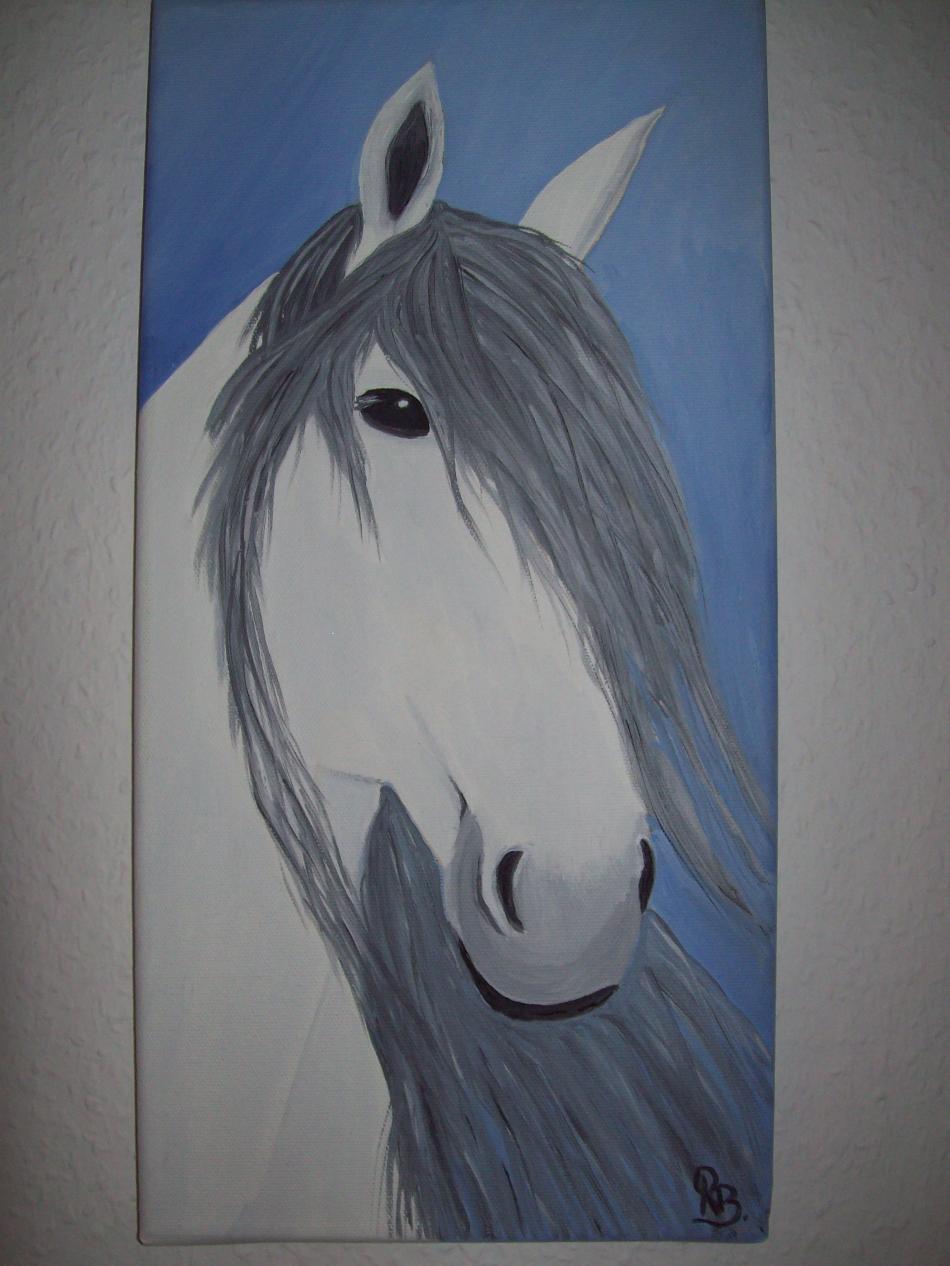 Pferdekopf 20x30 von rosanna-bormani Pferdekopf 20x30