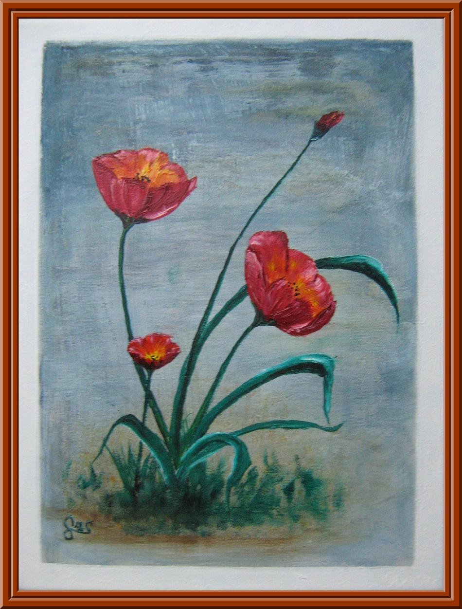 ©Exotischer Mohn von ©by GünArt ©Exotischer Mohn