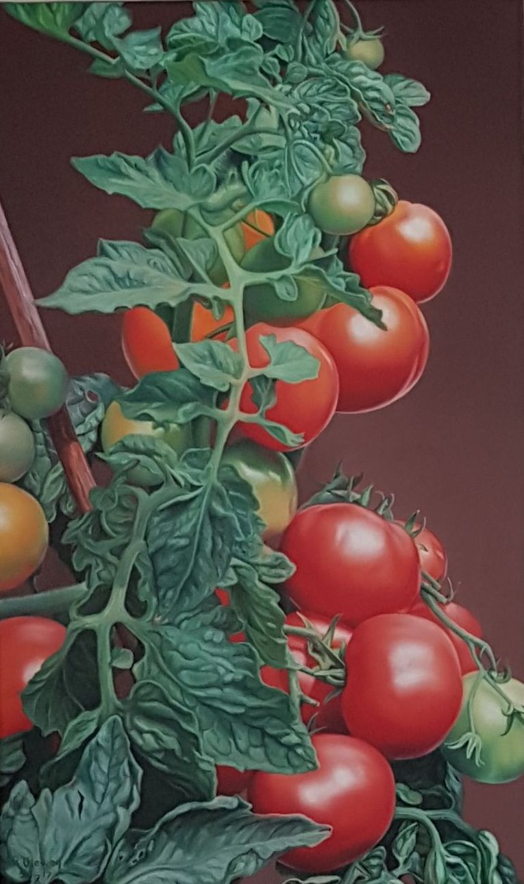 Tomaten von Vieweg Tomaten