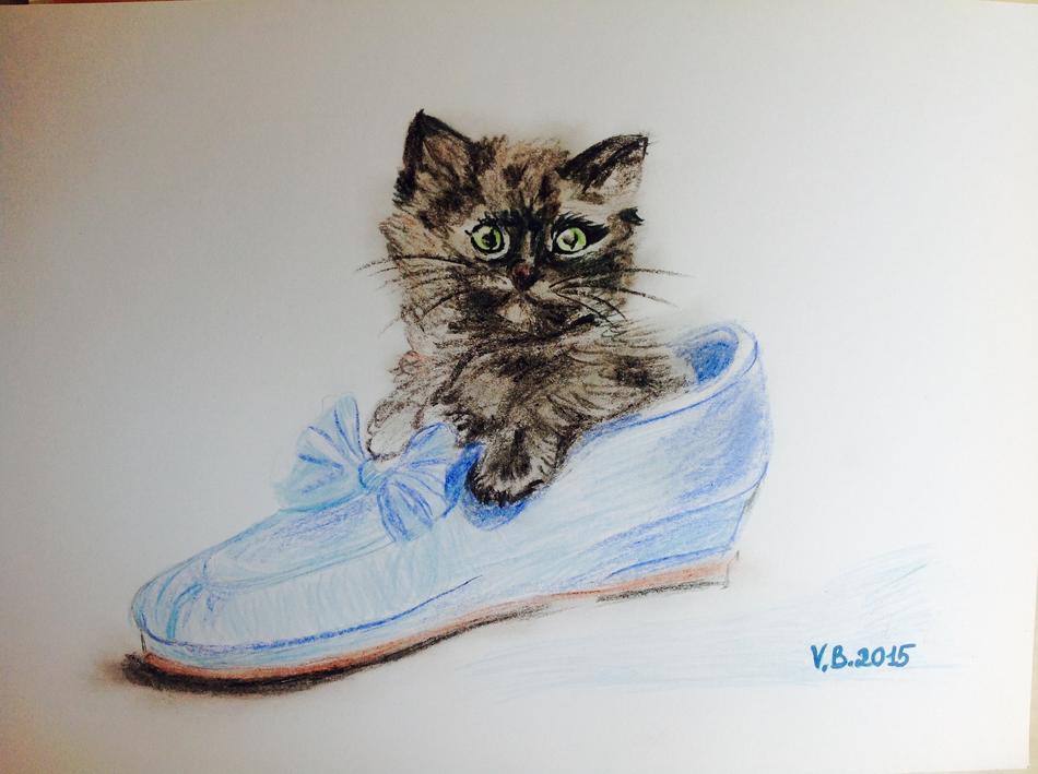 Babykatze von Viktoria von Schloss Föckelberg Babykatze