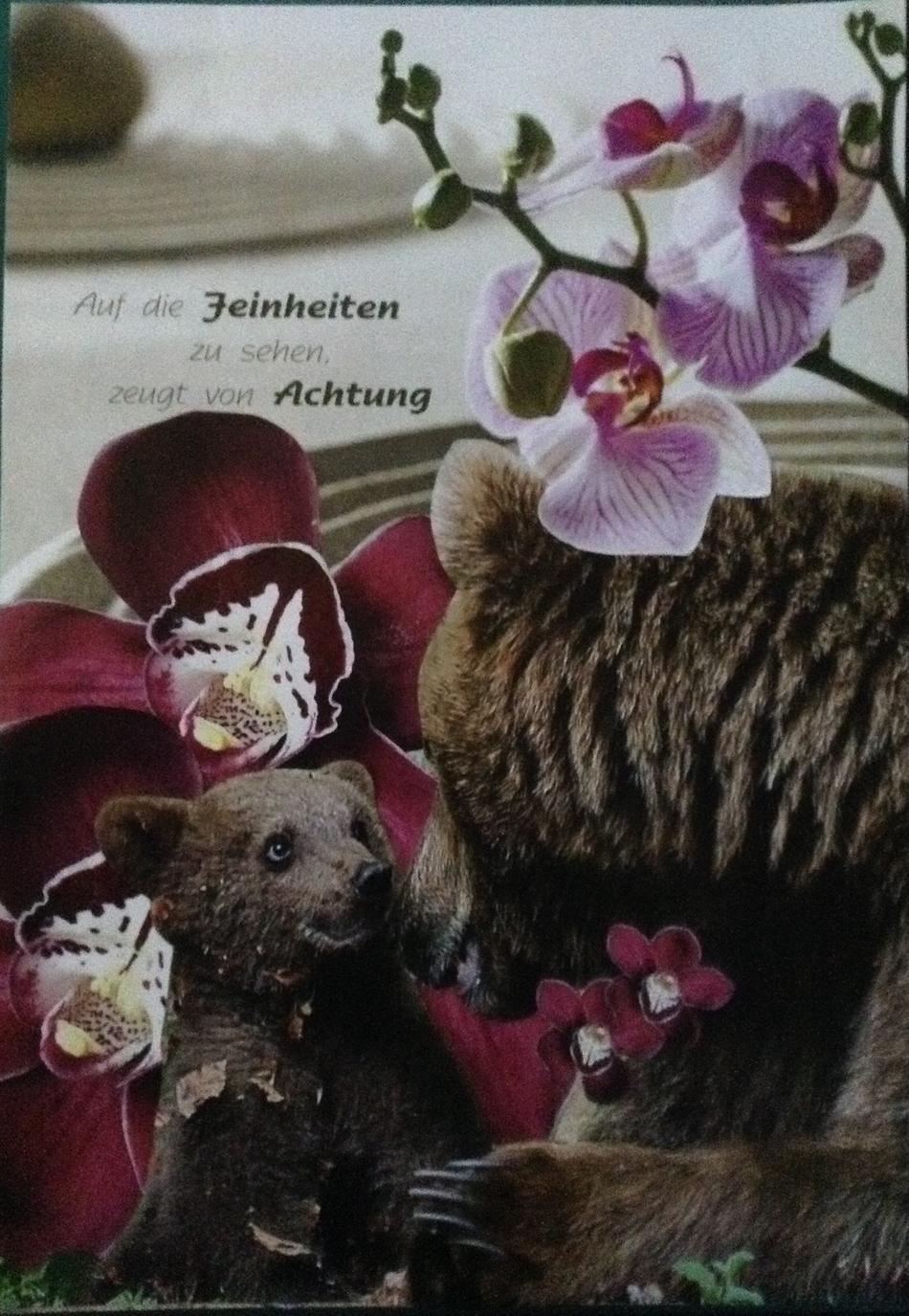 Achtung / respect von Achtung / respect