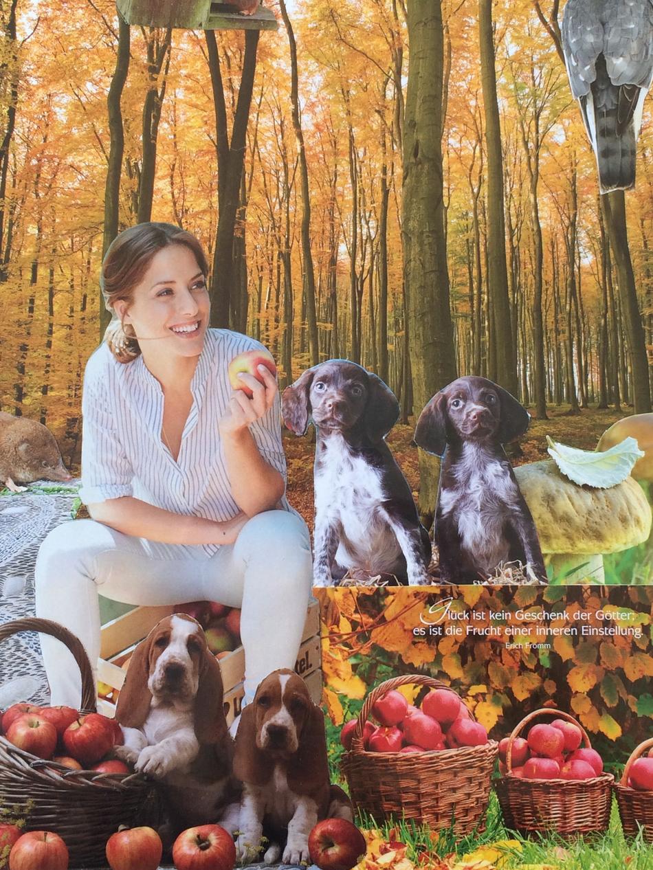 Frucht der inneren Einstellung von Frucht der inneren Einstellung