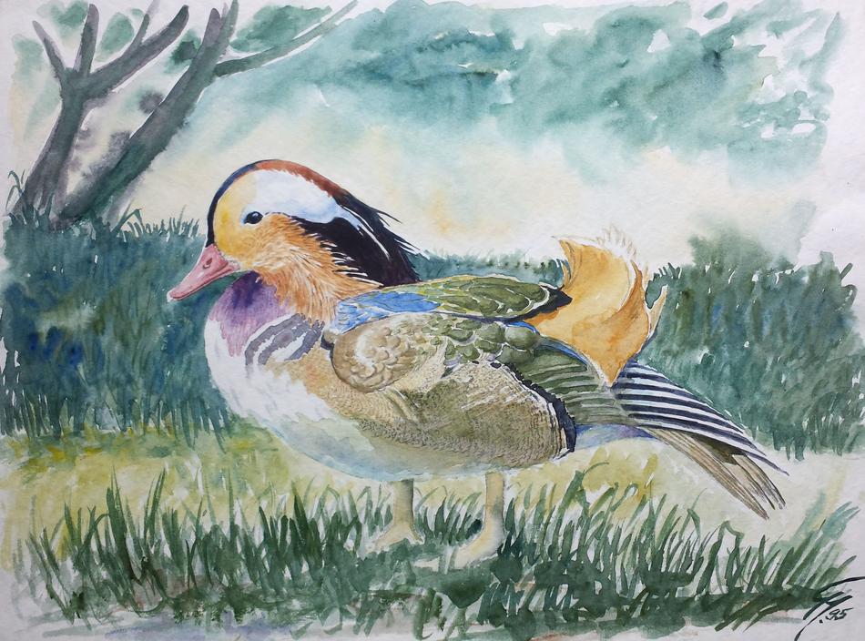 Die Ente von Die Ente