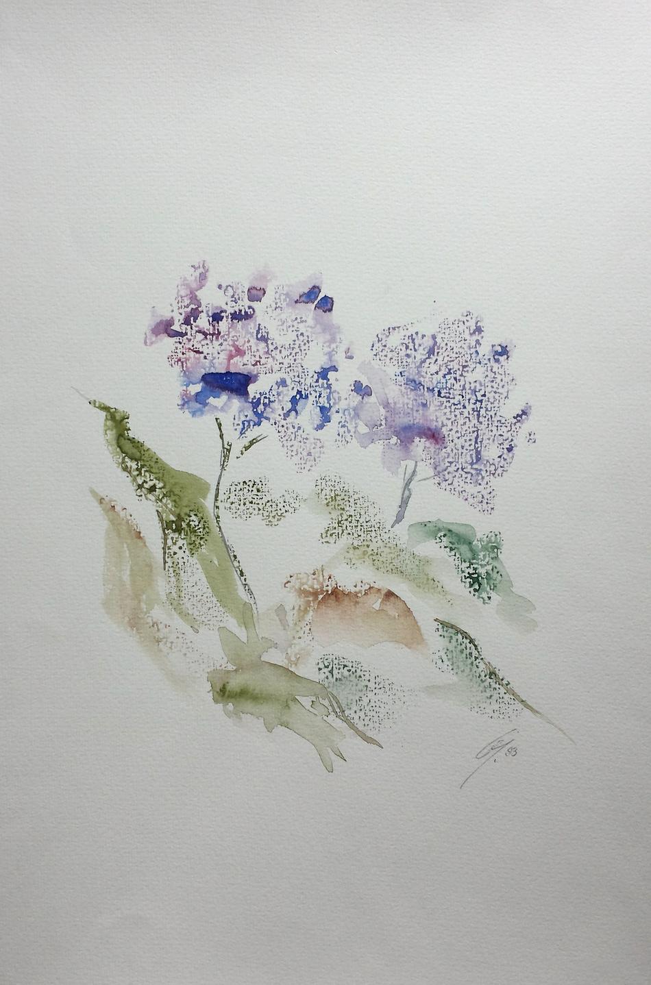 Schatten einer Blumen von Schatten einer Blumen