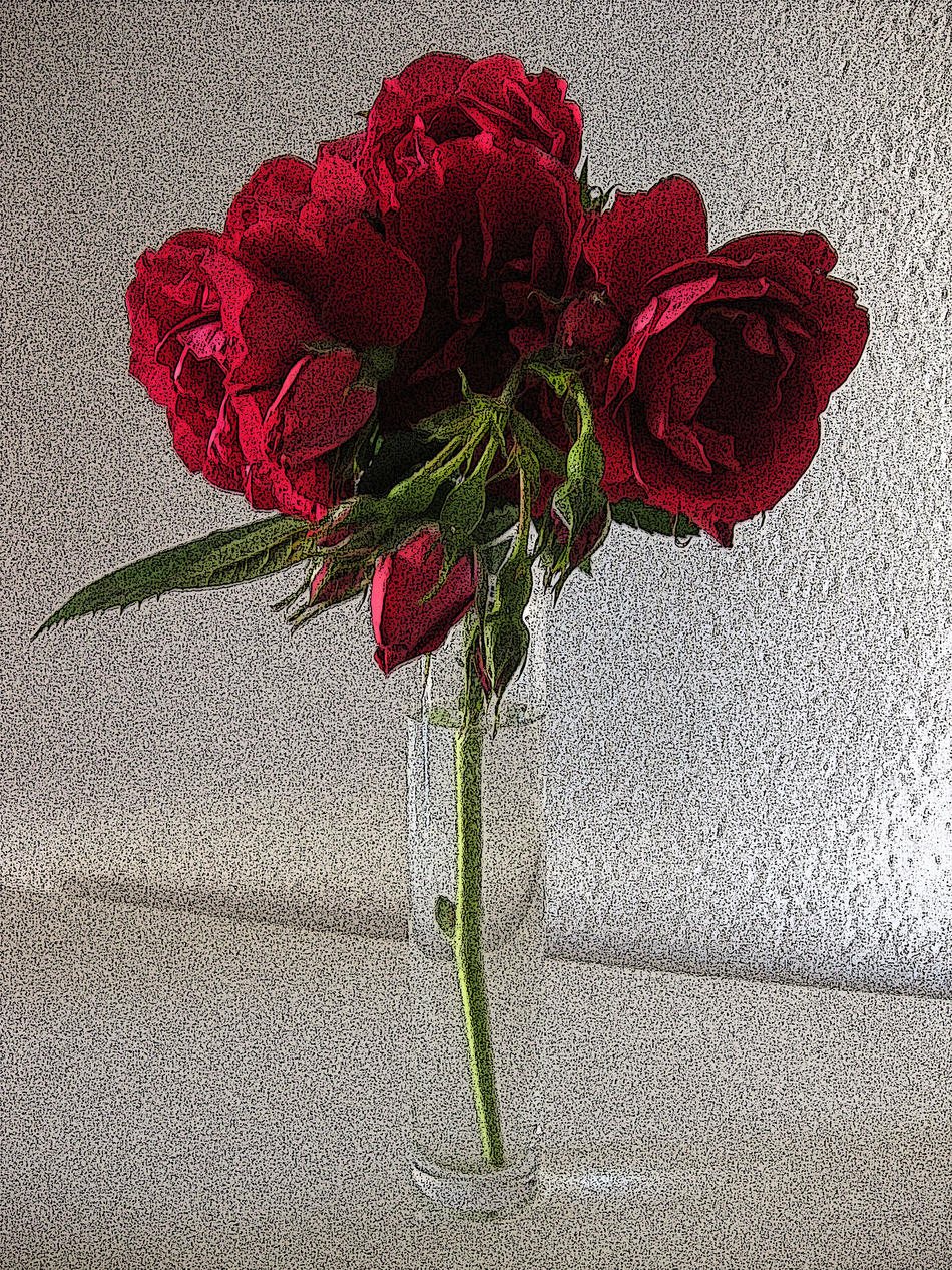 Rote Rose von Angelika Rote Rose
