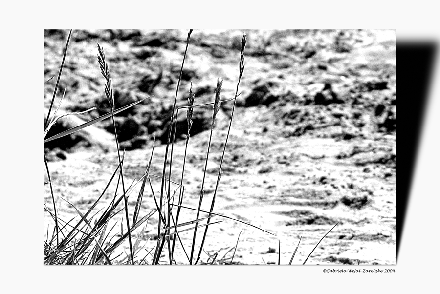 Nordseeimpressionen Strand von weh-zet.de Nordseeimpressionen Strand