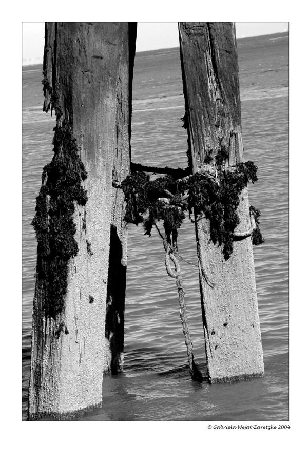 Nordseeimpressionen Poller II von weh-zet.de Nordseeimpressionen Poller II