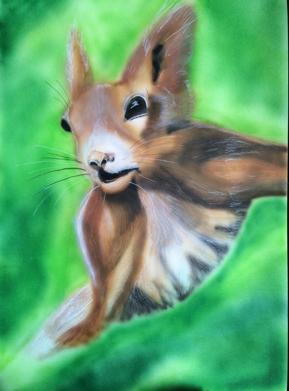 Eichhörnchen von Niro Eichhörnchen