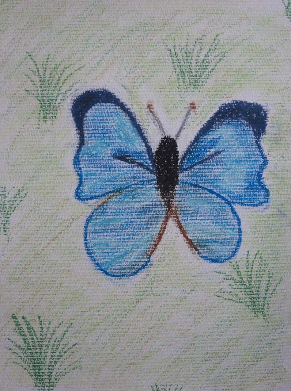 Blauer Schmetterling vor Wiese von Blauer Schmetterling vor Wiese