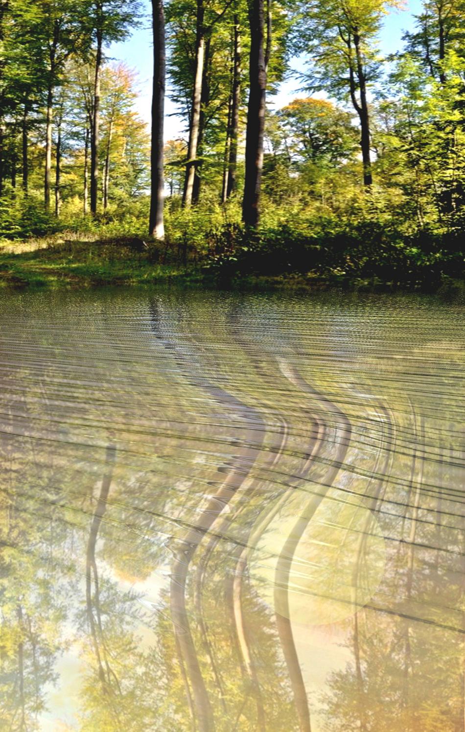 Die Flussbiegung von GeSche Die Flussbiegung
