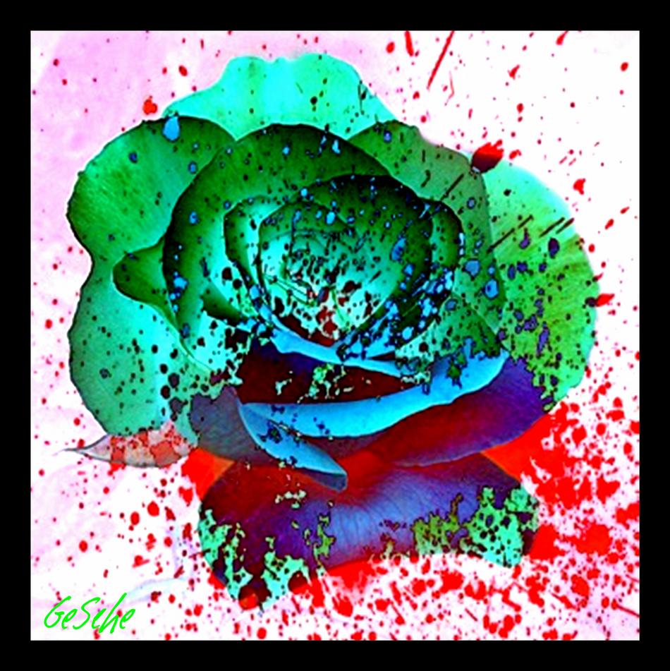 Farb Explosion von GeSche Farb Explosion