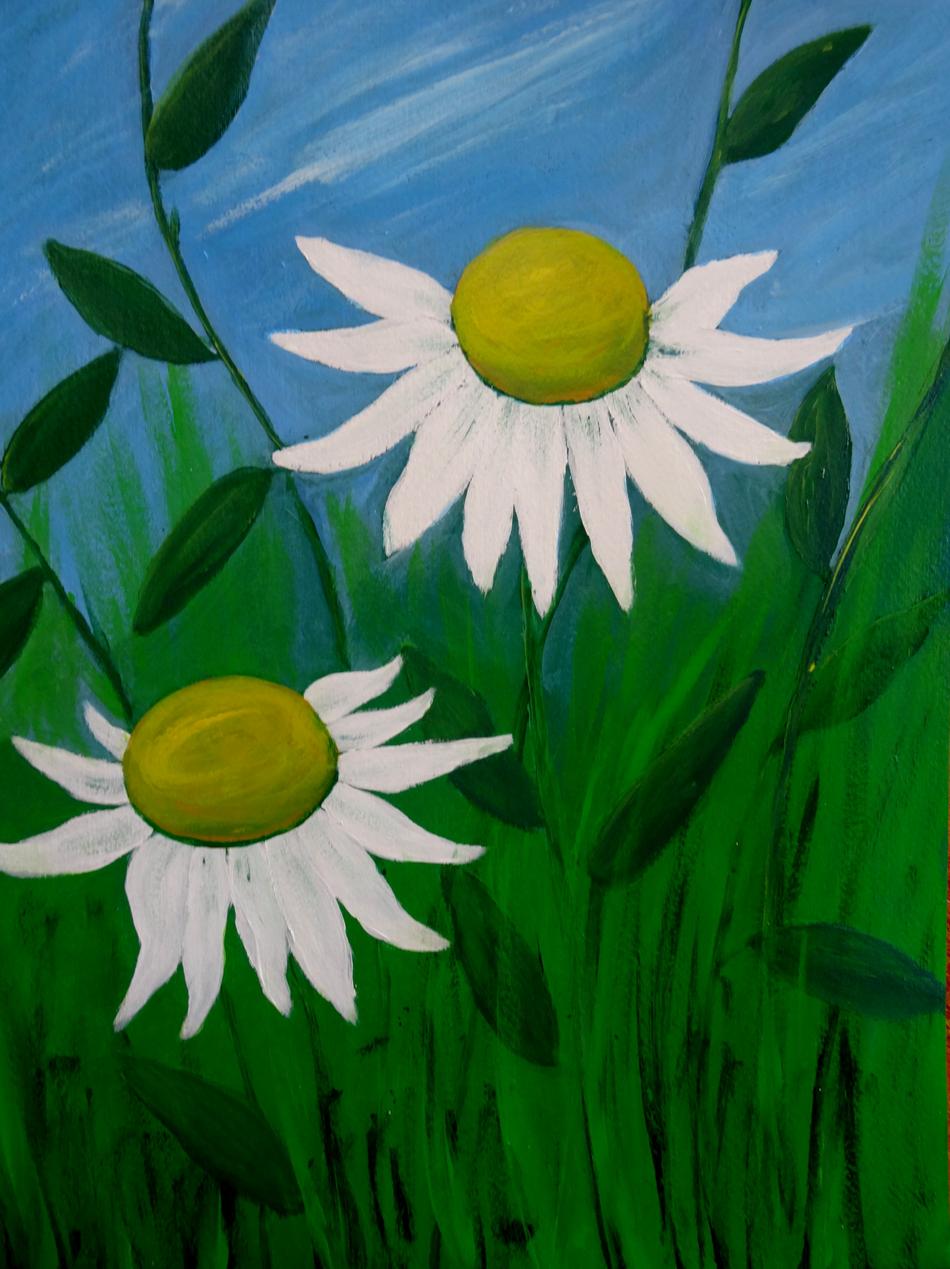 Acrylbild Weißer Sonnenhut von galerie-rosa Acrylbild Weißer Sonnenhut