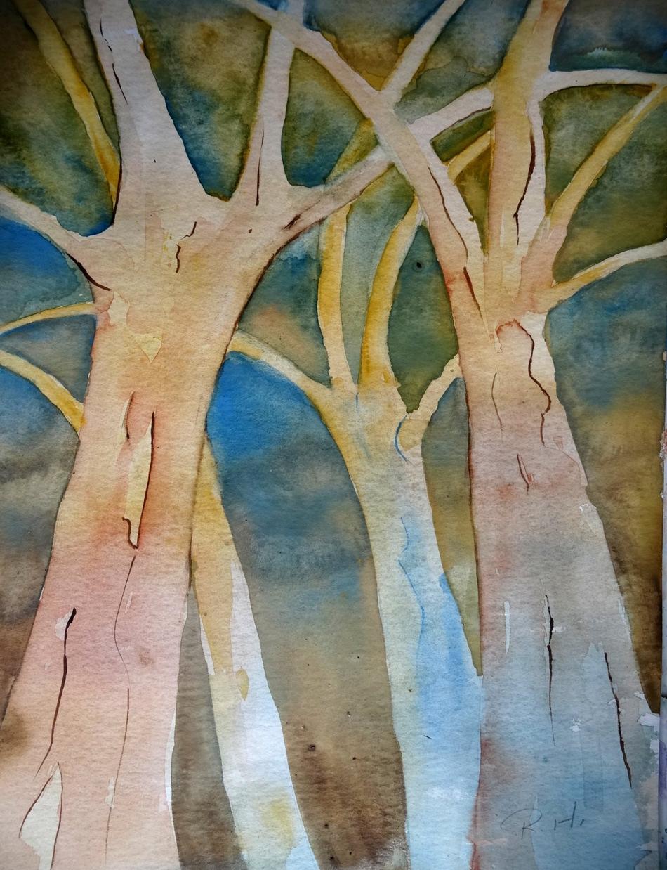 Aquarell Bäume von galerie-rosa Aquarell Bäume