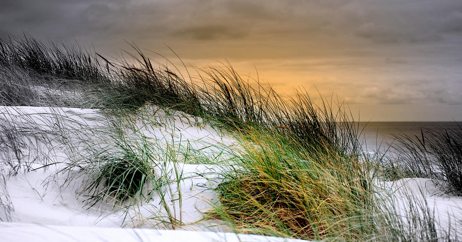 Kalt berührt der Wind das Meer von bernd hiep Kalt berührt der Wind das Meer