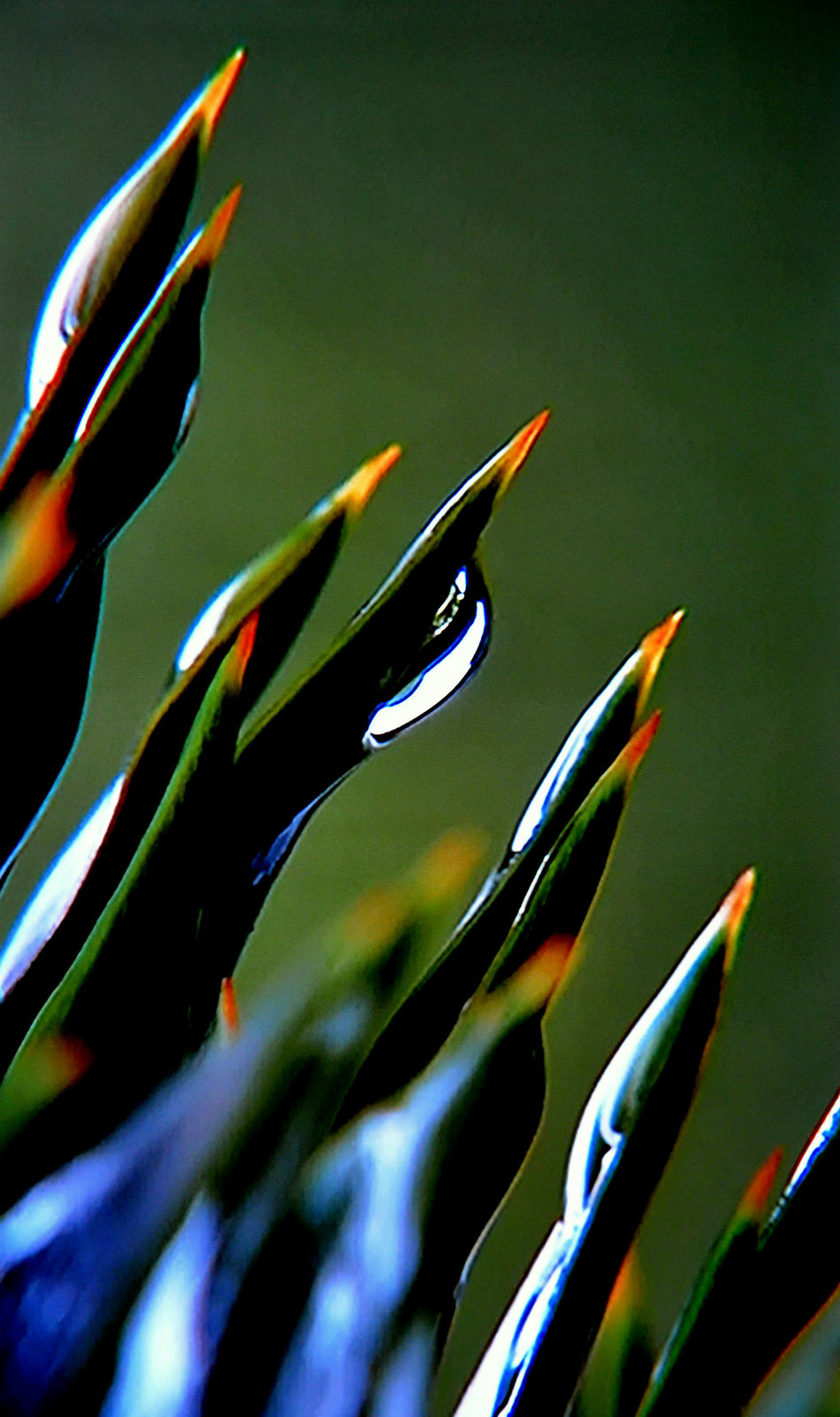 the paths of art - lasst uns schreiben von bernd hiep the paths of art - lasst uns schreiben