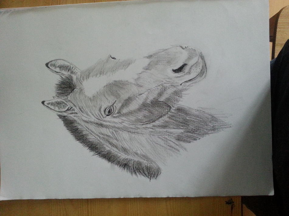 Norweger von A.H Artworks Norweger
