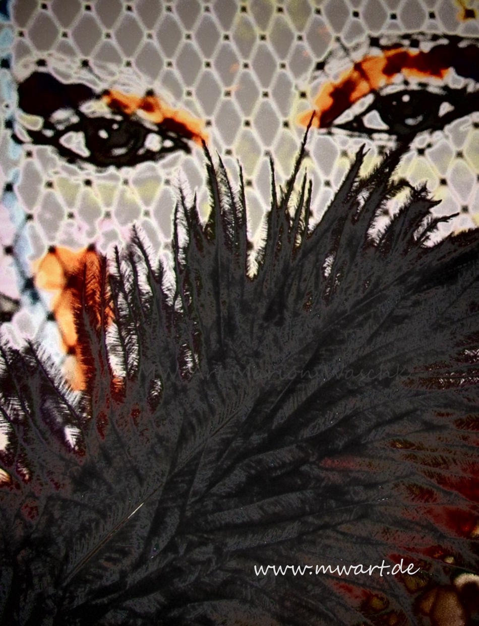 geheimnisvolle Schönheit - mysterious Beauty I von MW Art geheimnisvolle Schönheit - mysterious Beauty I