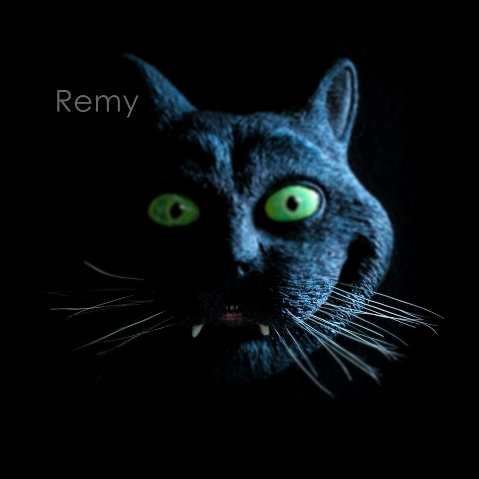 Grinsekatze von Remigius Sappa Grinsekatze