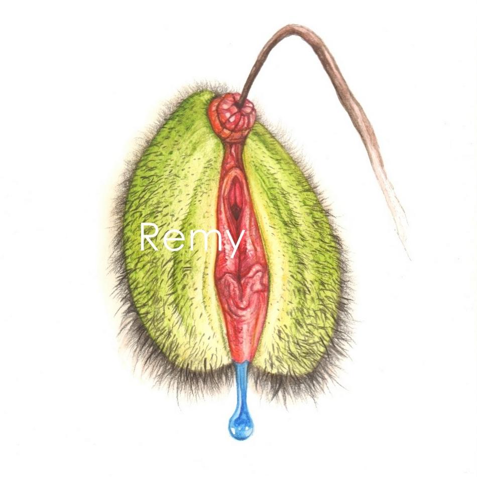 Coquelicot von Remigius Sappa Coquelicot