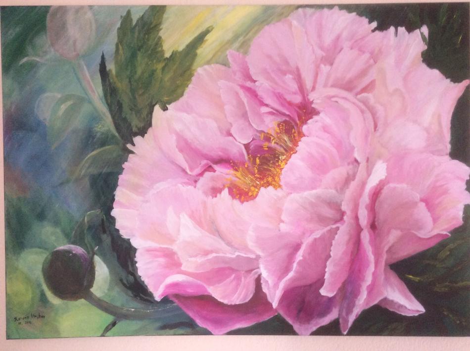 Pfinstenrose von Neshka Pfinstenrose