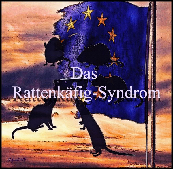 Das Rattenkäfig-Syndrom von Orfeu de SantaTeresa Das Rattenkäfig-Syndrom