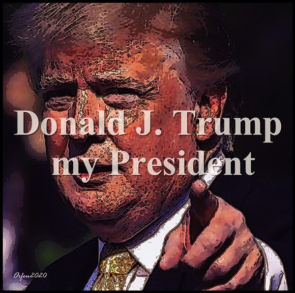 Donald J. Trump von Orfeu de SantaTeresa Donald J. Trump